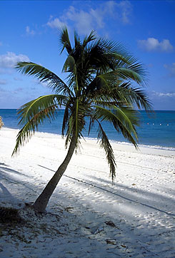 Taino Beach - Grand Bahama