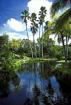 Gardens of The Groves - Grand Bahama