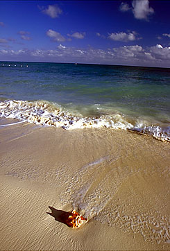 Taino Beach - Grand Bahama