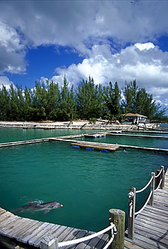 Sanctuary Bay - Grand Bahama
