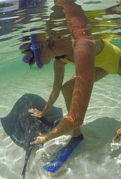 Snorkeling - Manjack Cay, Abaco