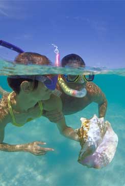 Snorkeling - Manjack Cay, Abaco