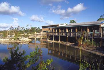 Different of Abaco, Bonefish Lodge - Marsh Harbour, Abaco