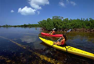 Kayaking in Bimini
