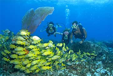 Underwater in Bimini