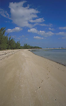 South Ocean Beach - New Providence Bahamas