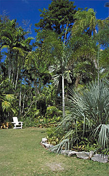 Bahamas National Trust Retreat - Montagu Bay
