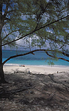 Cabbage Beach - Paradise Island